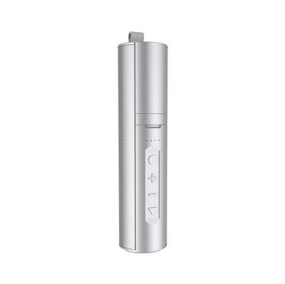 Power Bank with selfie stick